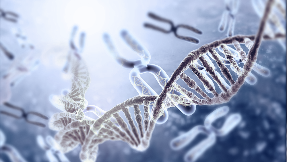 JAK2 driver mutations