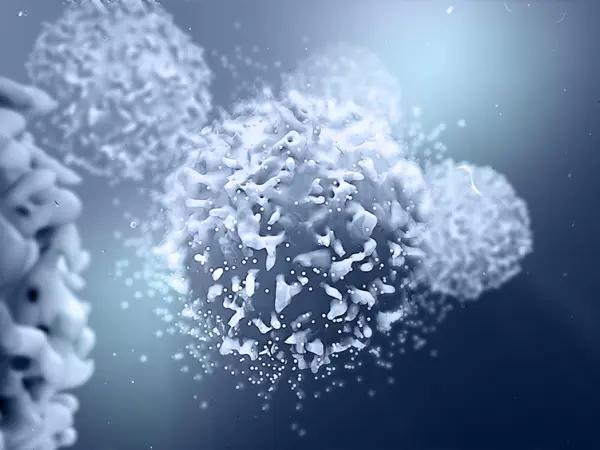 Hedgehog pathway inhibitors